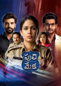 Постер индийского сериала «Загнать тигра в угол»