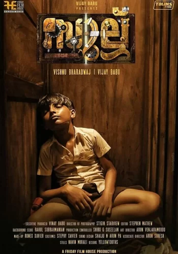 Постер индийского фильма «Саллу»