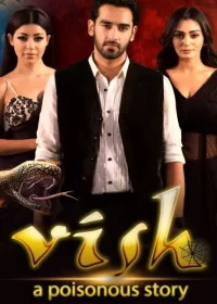 Постер индийского сериала «Ядовитая история»