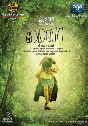 Постер индийского фильма «Майна»