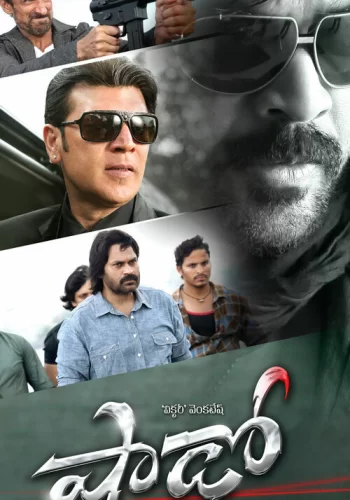 Постер индийского фильма «Тень»