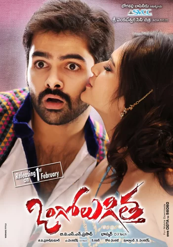 Постер индийского фильма «Жгучий чили»