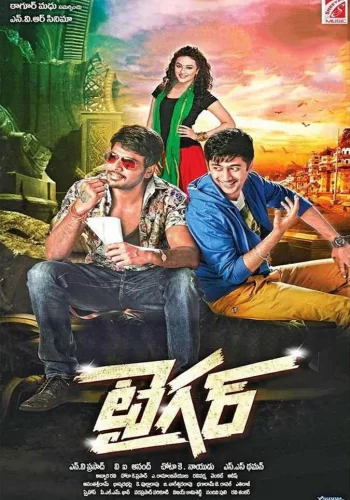 Постер индийского фильма «Тигр»