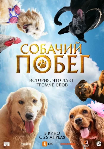 Постер индийского фильма «Собачий побег»