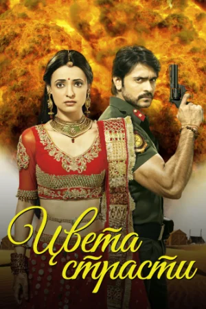 Постер индийского сериала «Цвета страсти»